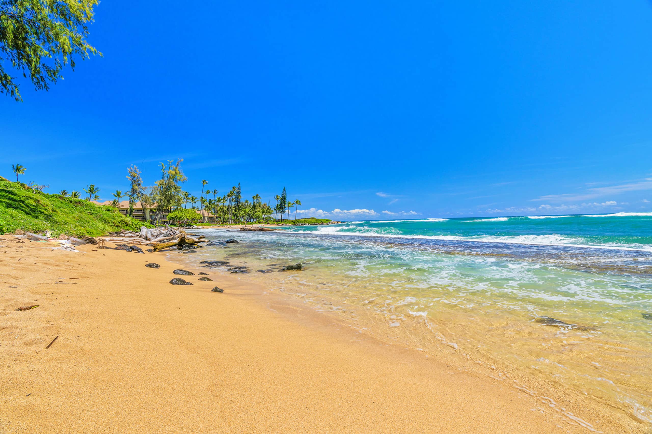 Oceanfront Studio with Panoramic Views - Photo 22