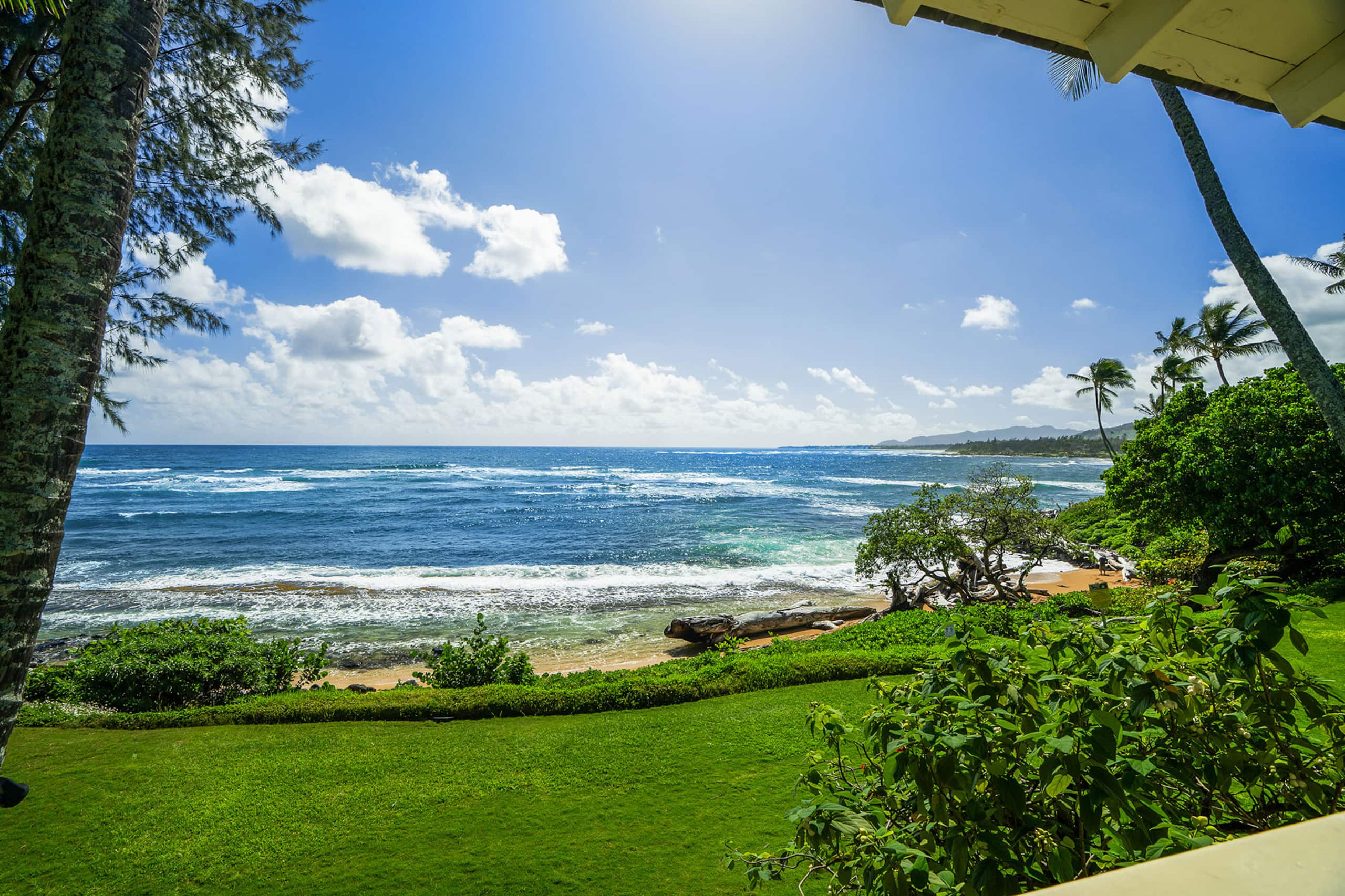 Oceanfront Studio with Panoramic Views - Photo 12