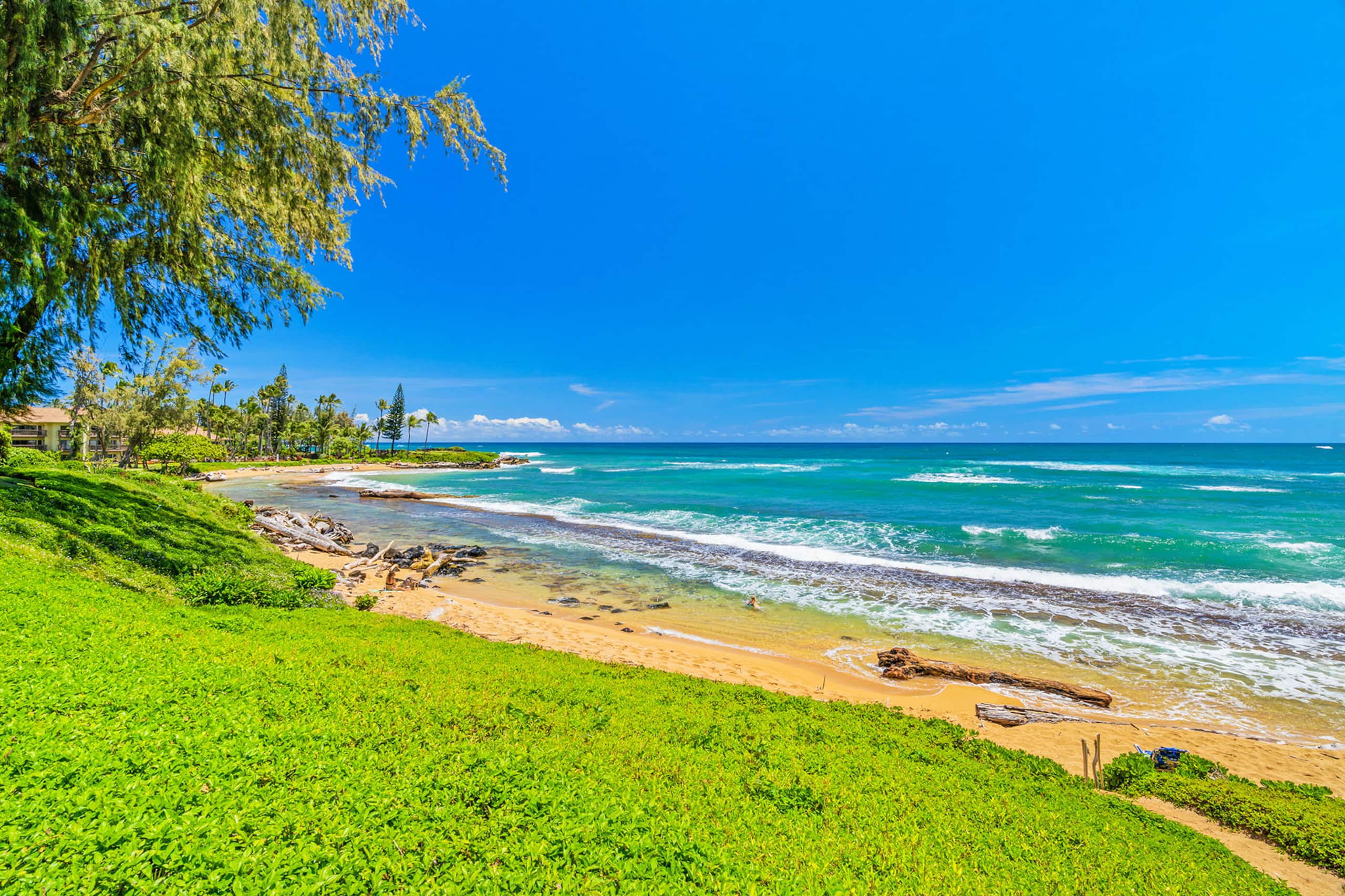 Oceanfront Studio with Panoramic Views - Photo 15