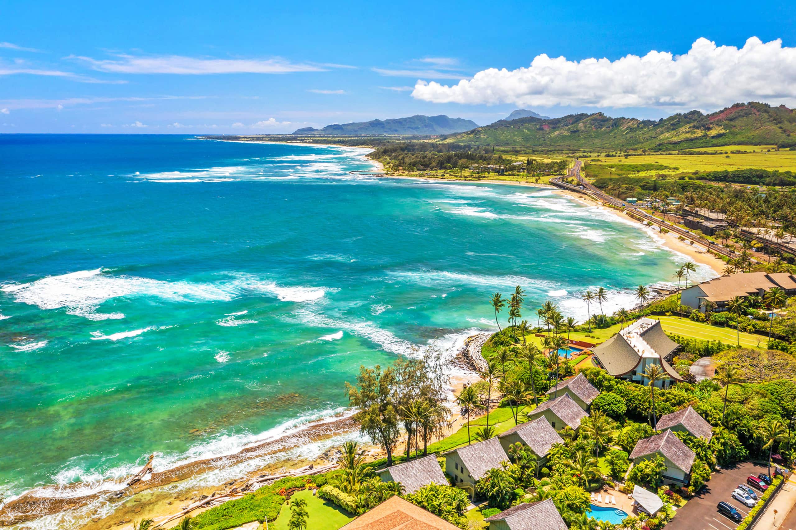 Oceanfront Studio with Panoramic Views - Photo 24