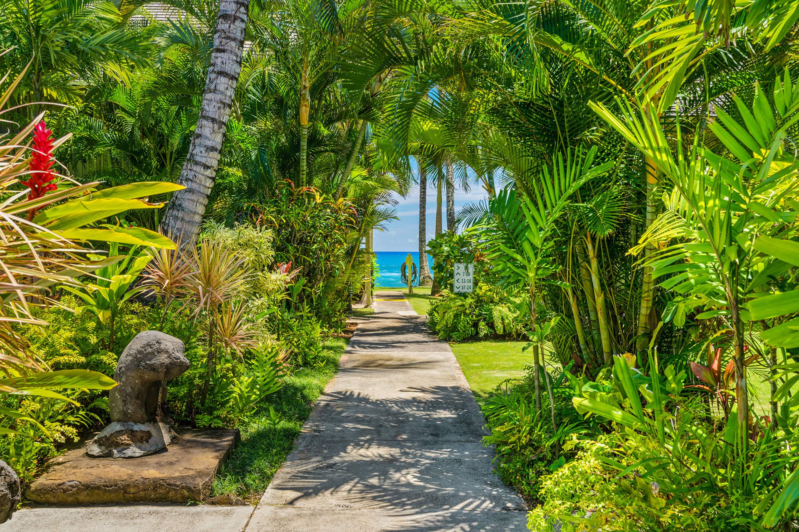 Oceanfront Studio with Panoramic Views - Photo 25