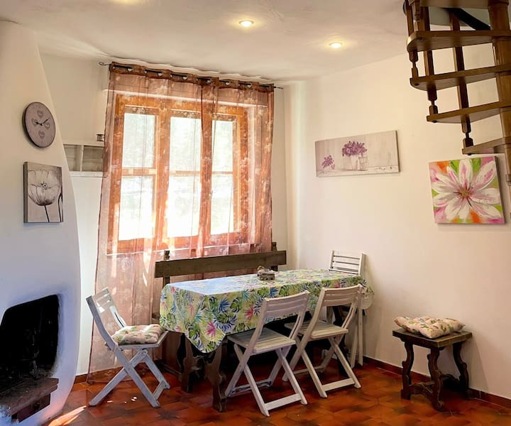 Appartamento Con Giardino - Montalto di Castro