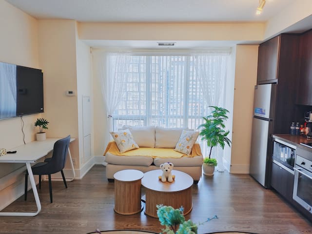 Discount!DT MTCC RogerCenter 3B+2B FreeParking Gym