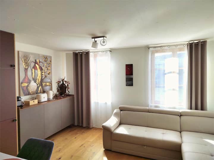 Casa Rheinblick - Apartment (C) | 1br River View - Basiléia