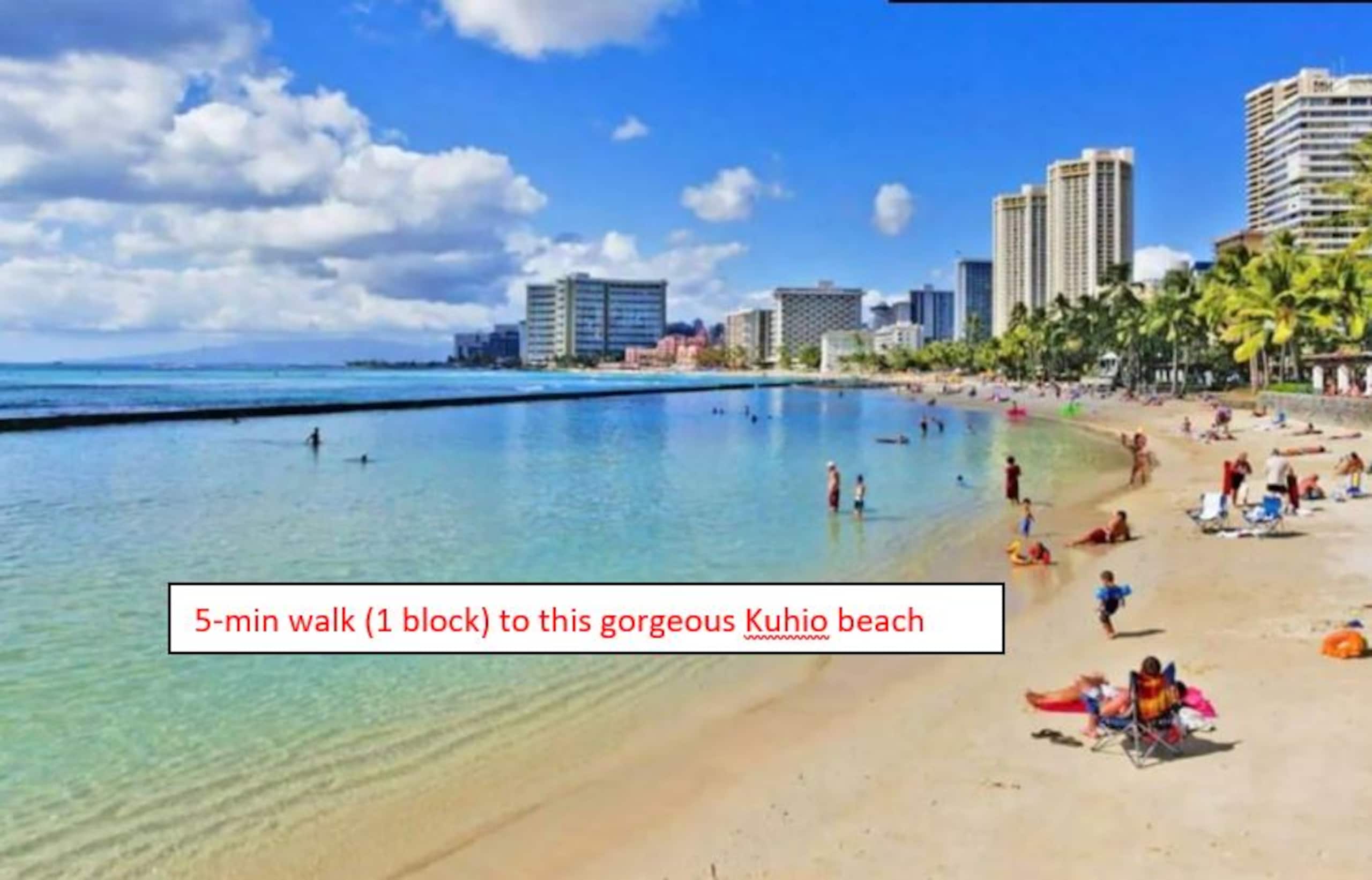 Huge patio | Luxury | Washer | Free park | 5'Beach - Image 55