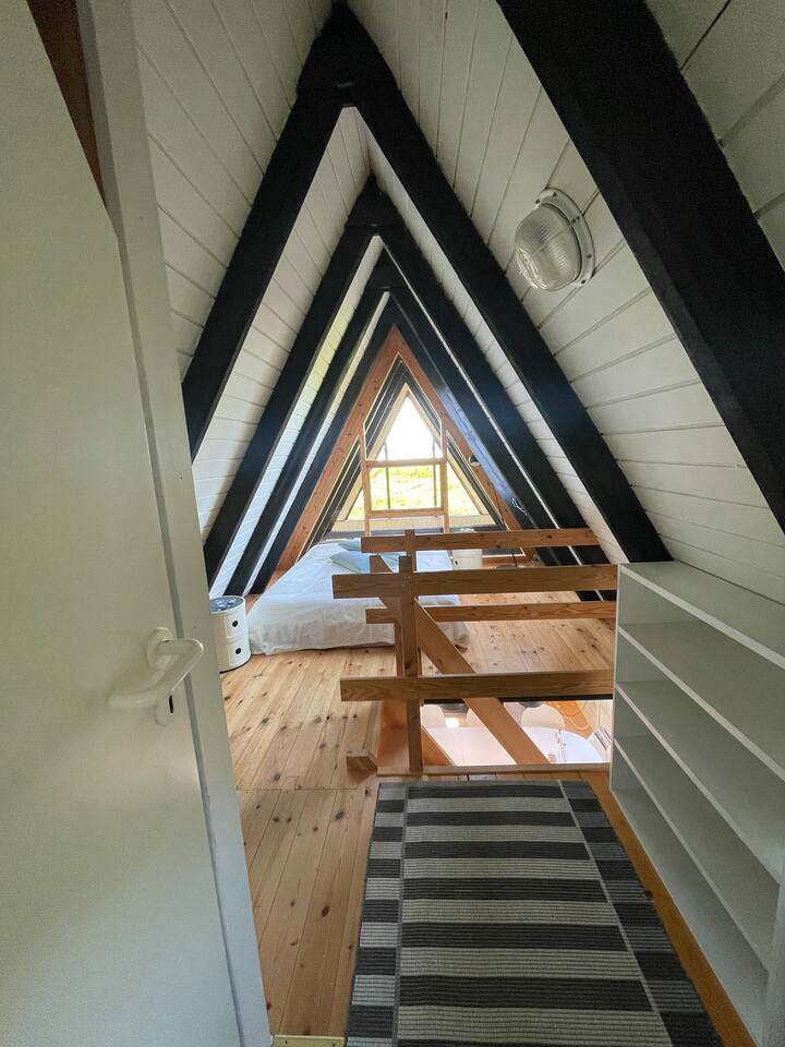 Habitación 3