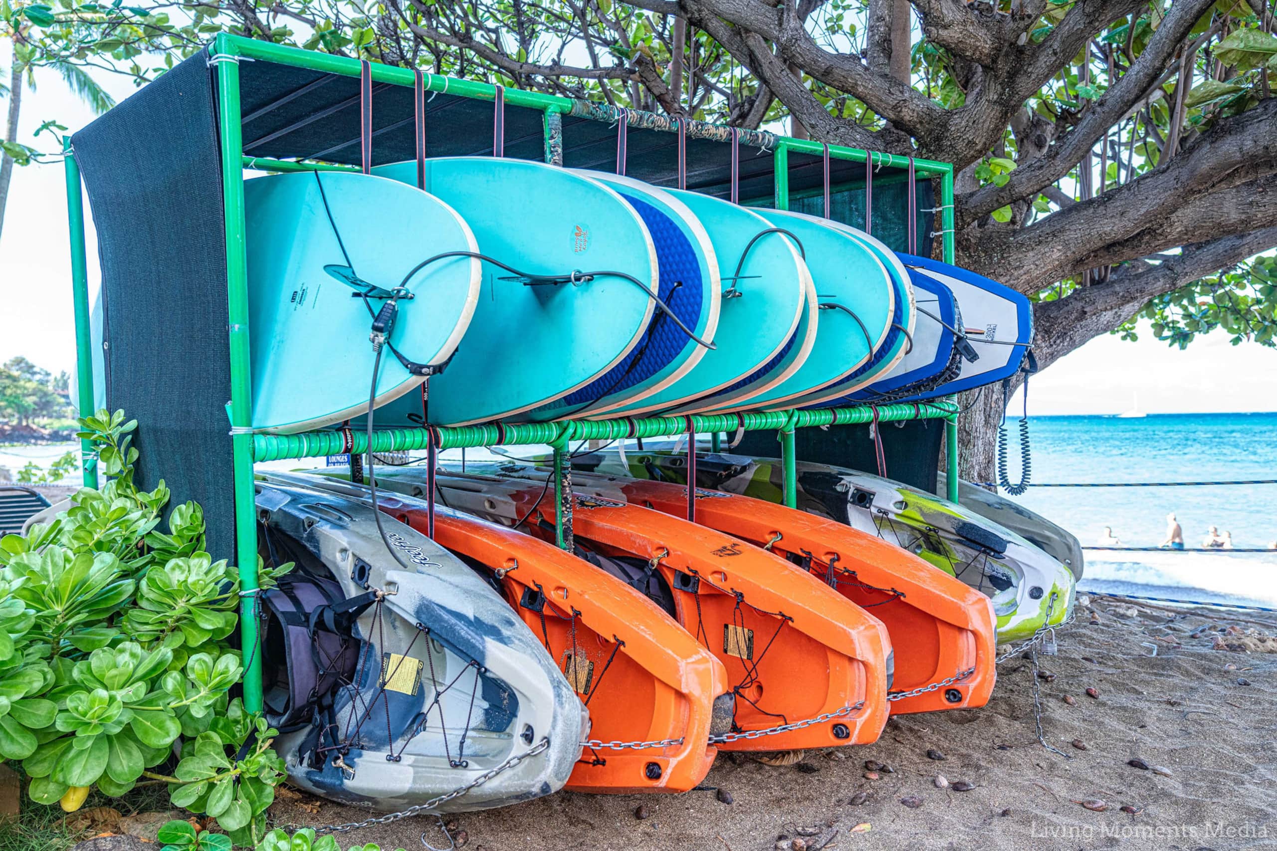 Ala Kohala AKA Whale Pathway - Image 47