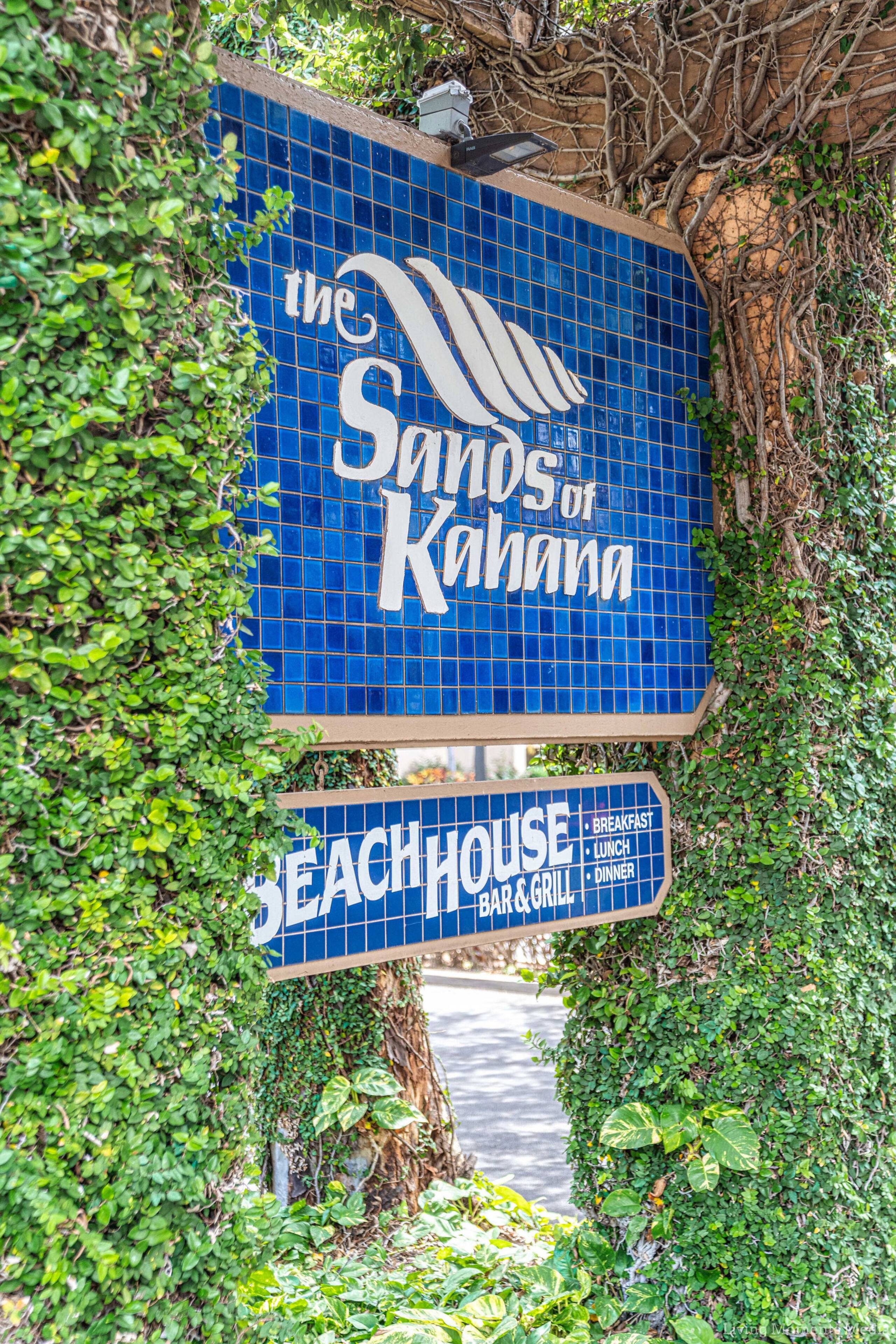 Ala Kohala AKA Whale Pathway - Image 52