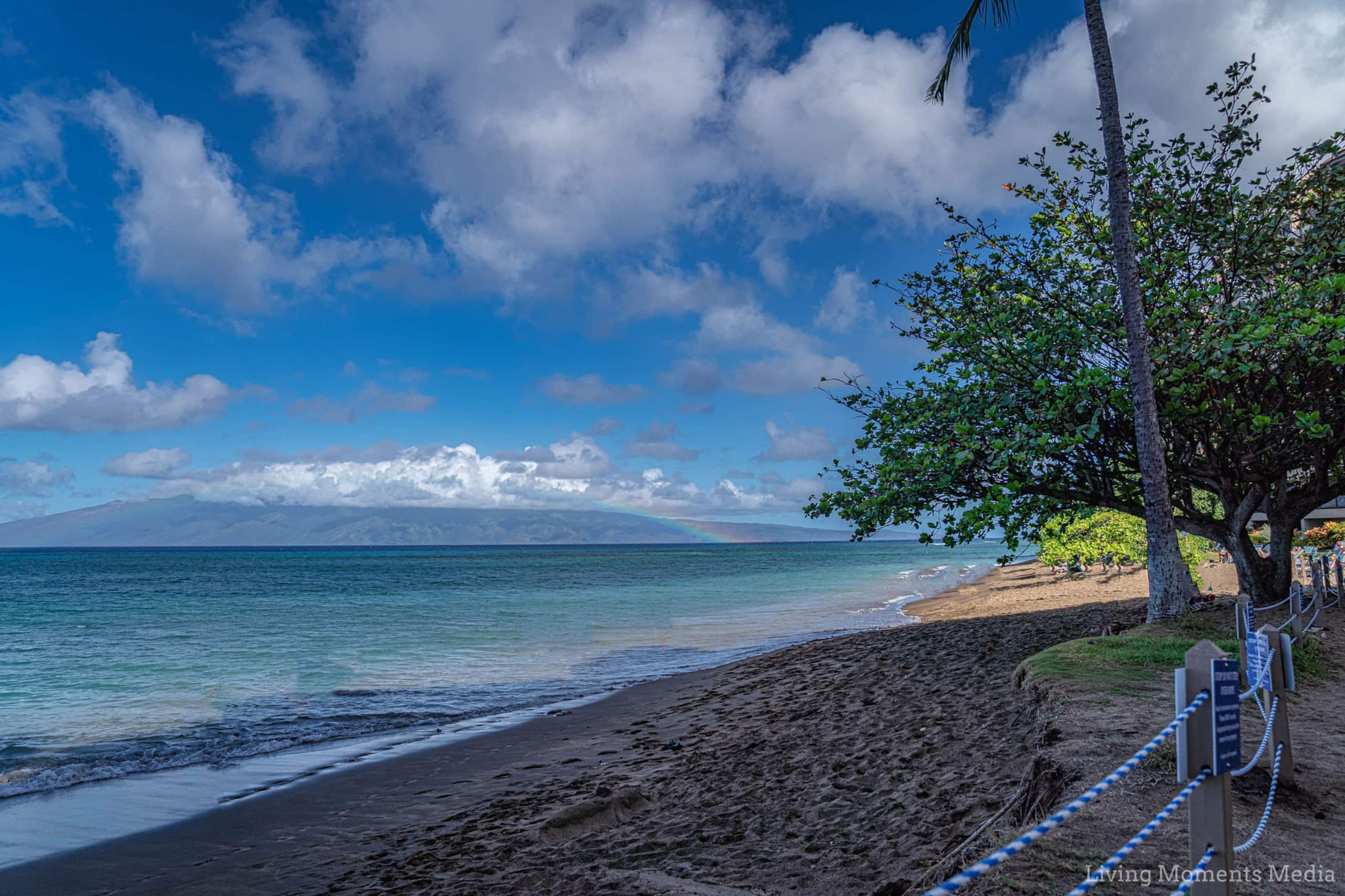 Ala Kohala AKA Whale Pathway - Image 48