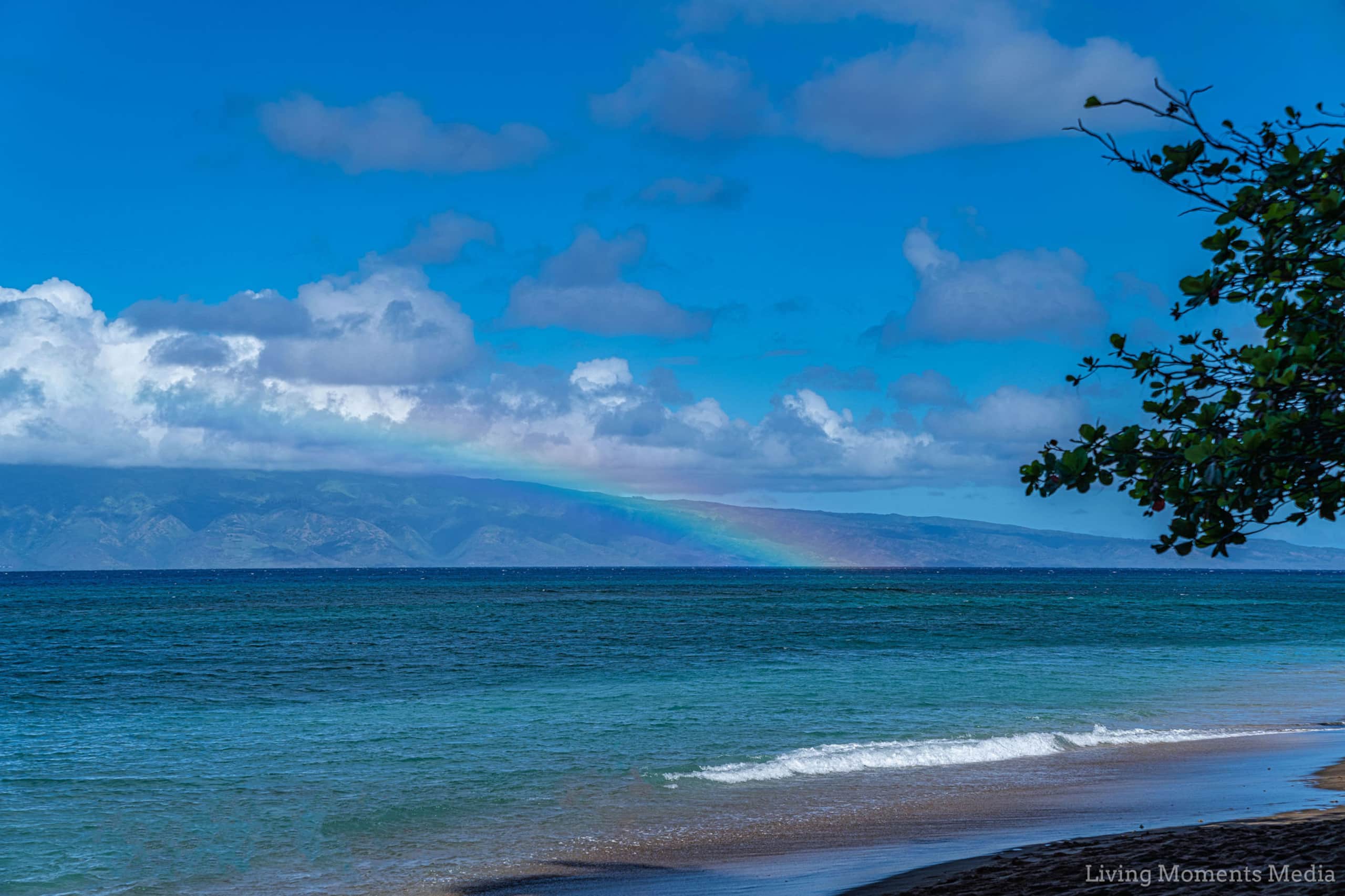 Ala Kohala AKA Whale Pathway - Image 49