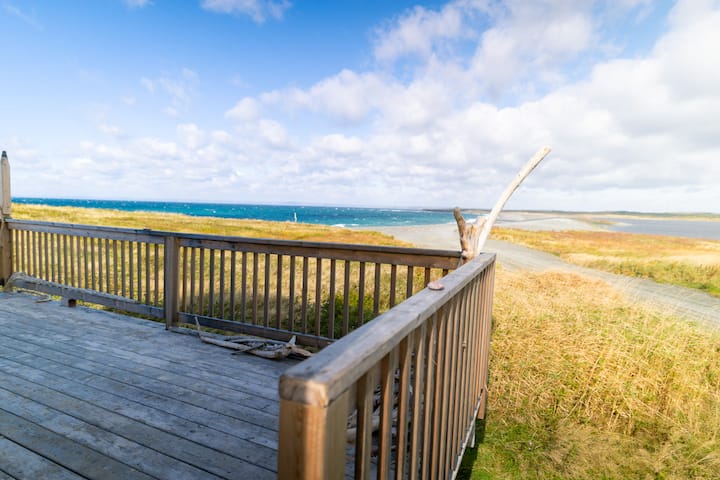 The Beach House - Point La Haye - Houses for Rent in Gaskiers