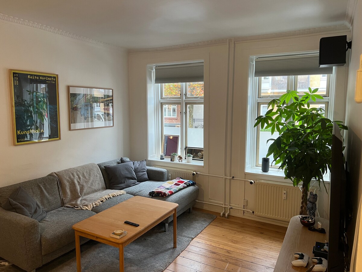 Curated visual reference: Versatile Small Apartment Designs In Denmark Reference: Cozy Frederiksberg Apartment By The Gardens