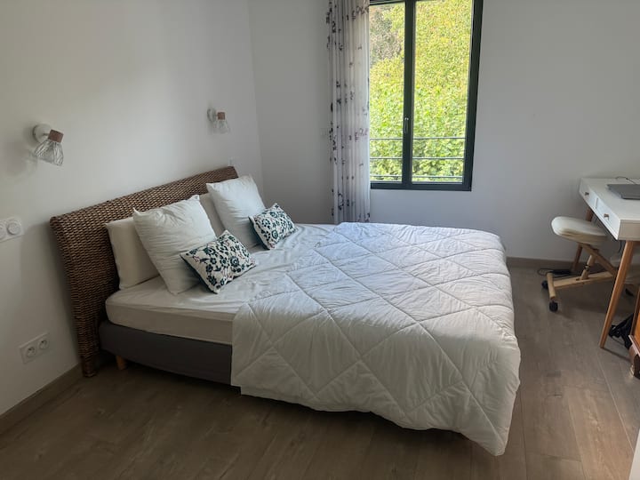 Chambre Spacieuse à Annecy - Annecy