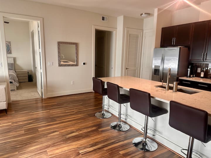 Apartment In Downtown Austin! - Austin, TX
