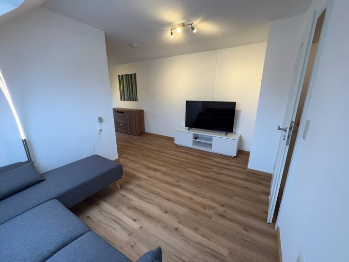 Neu Renovierte Ferienwohnung - Krumbach (Schwaben)