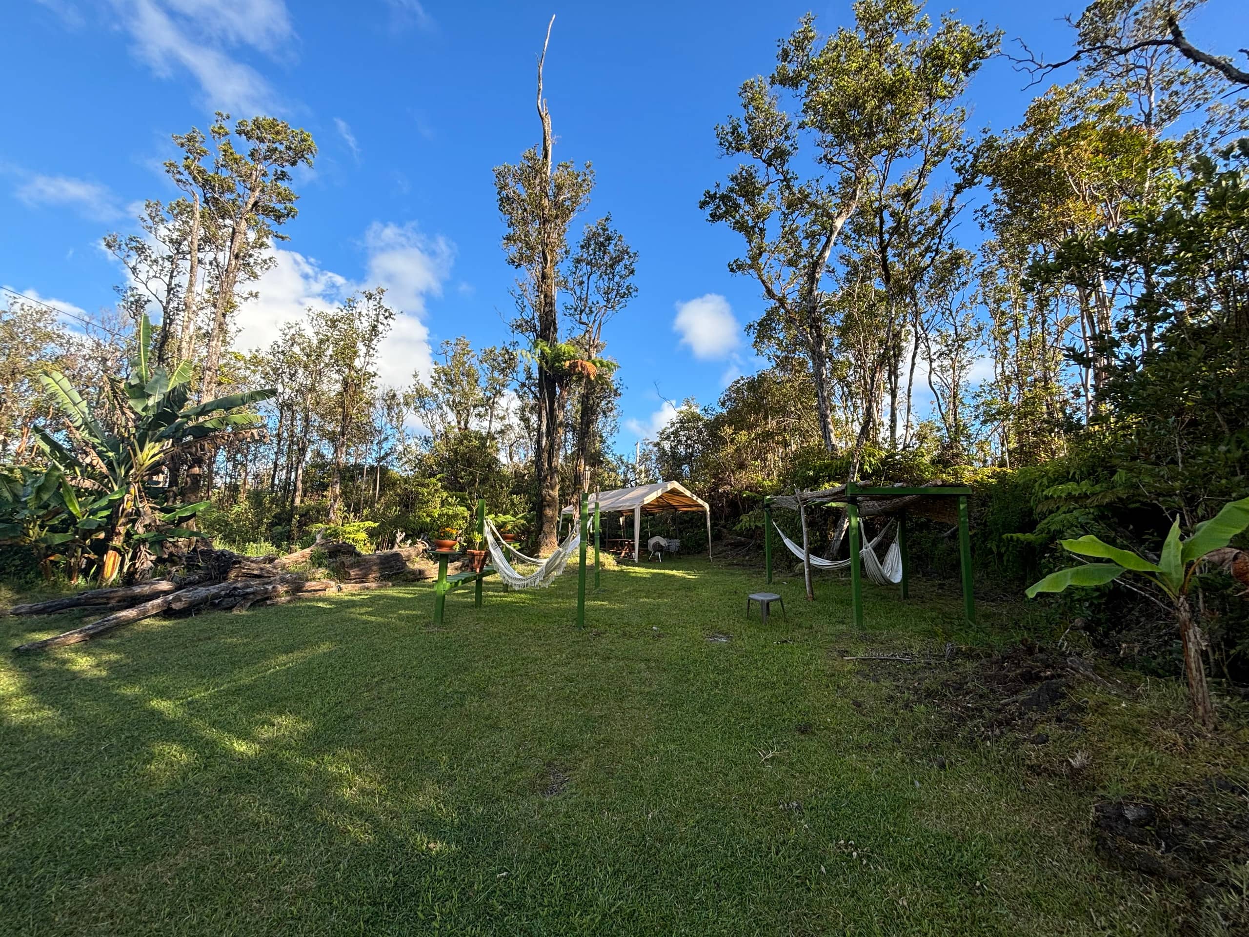Rainforest Haven Cabin - Photo 17