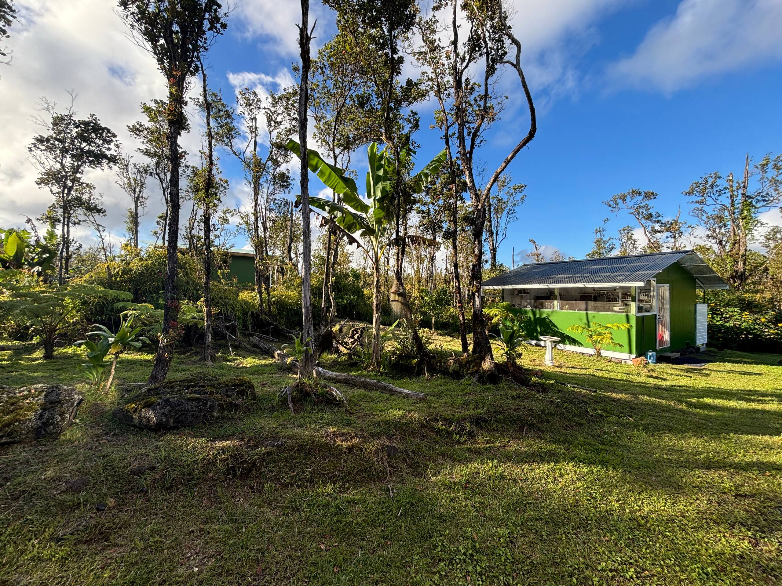 Rainforest Haven Cabin - Photo 18