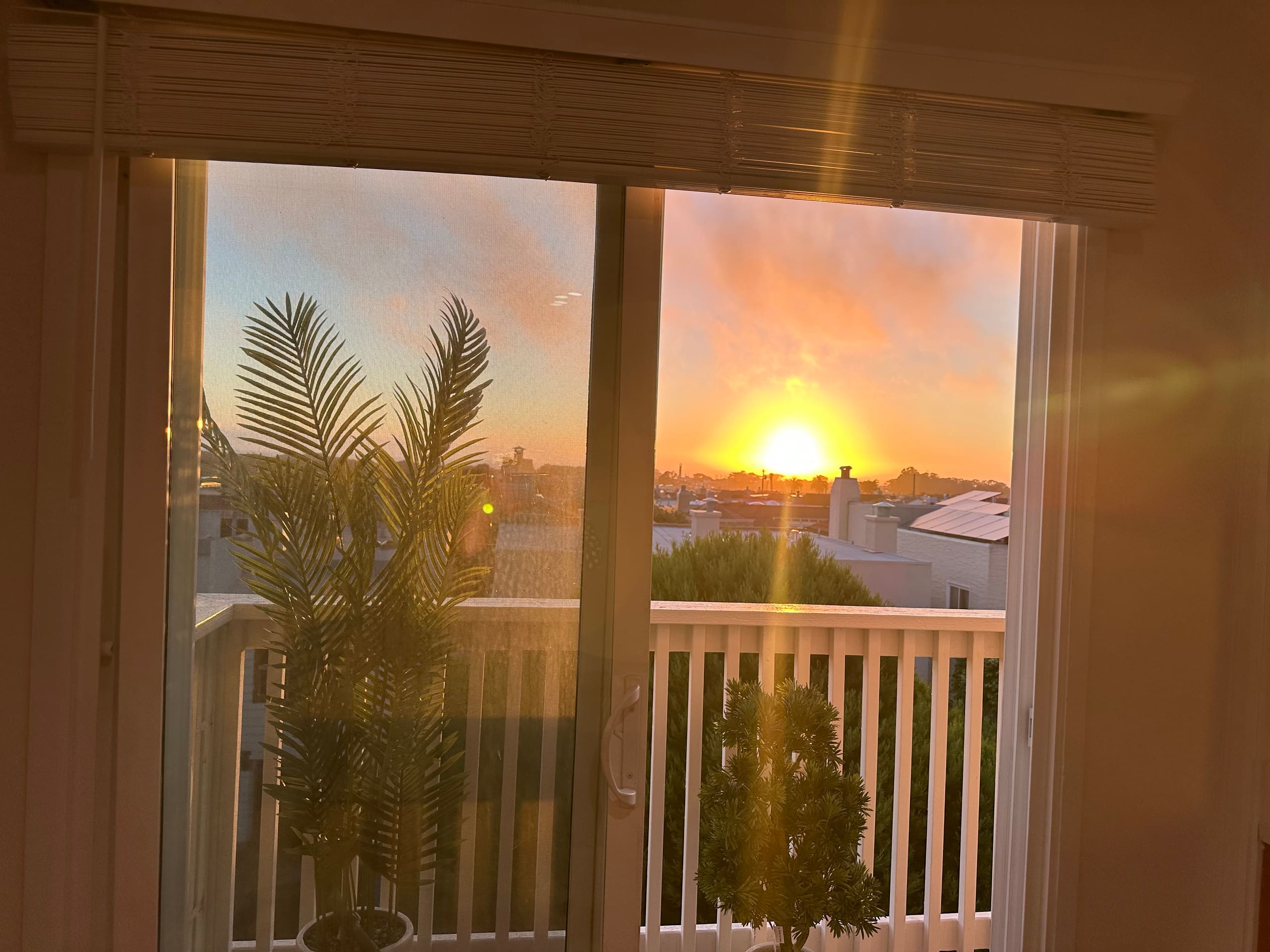 Home in San Francisco · ★4.81 · 4 bedrooms · 6 beds · 2 baths - Image 24