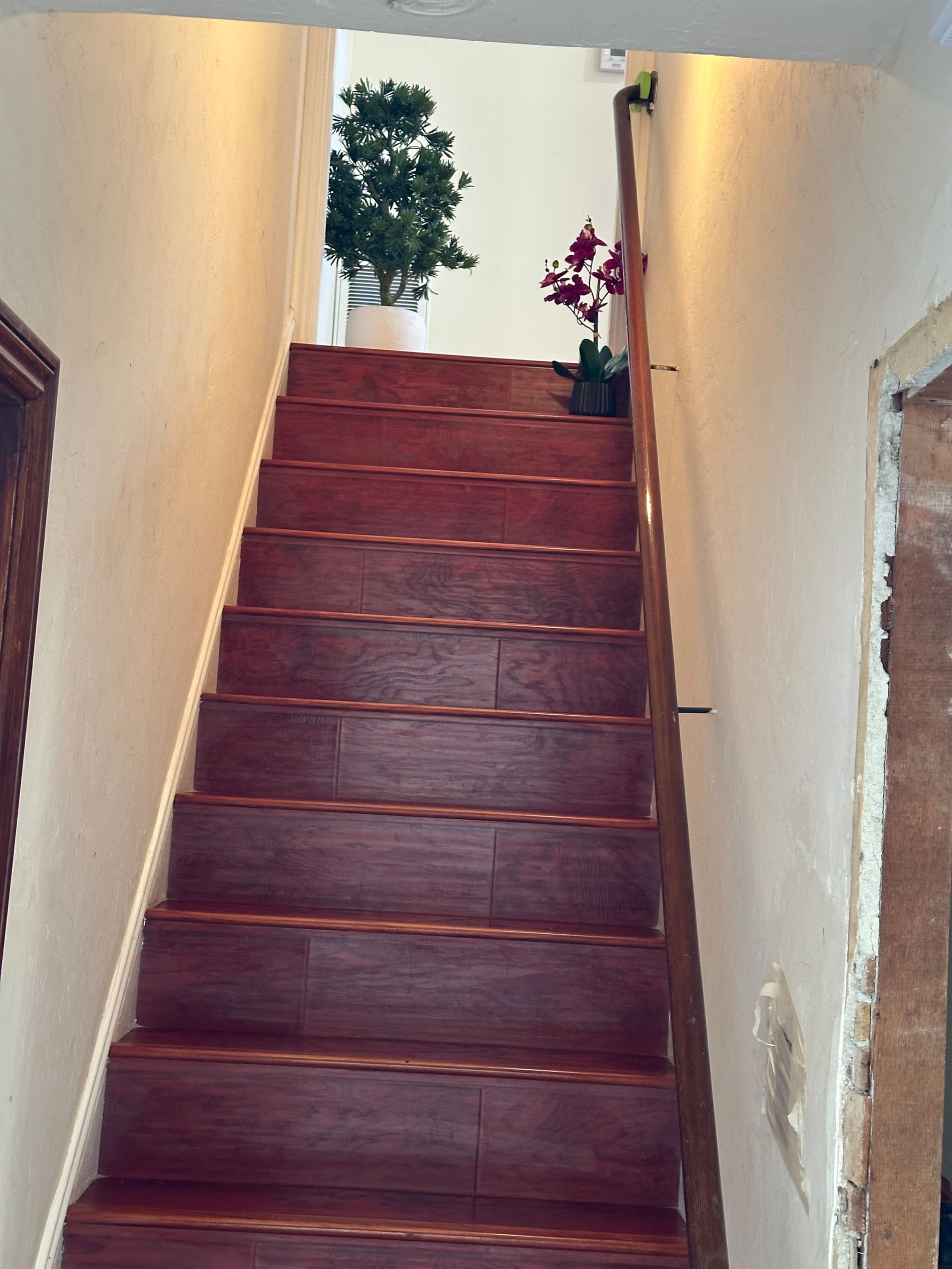 Home in San Francisco · ★4.81 · 4 bedrooms · 6 beds · 2 baths - Image 79