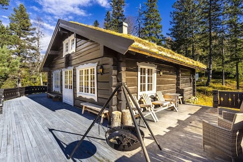 Popular Airbnb listing: Cozy log cabin in Eggedal in Sigdal