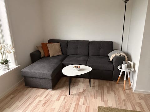 Successful Airbnb property: Central 3-room apartment. Nice view of the Cathedral in Roskilde