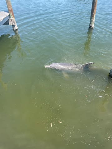 Guest favorite listing in Cocoa Beach