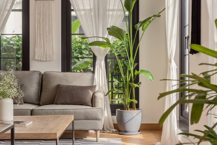 Living room image 5
