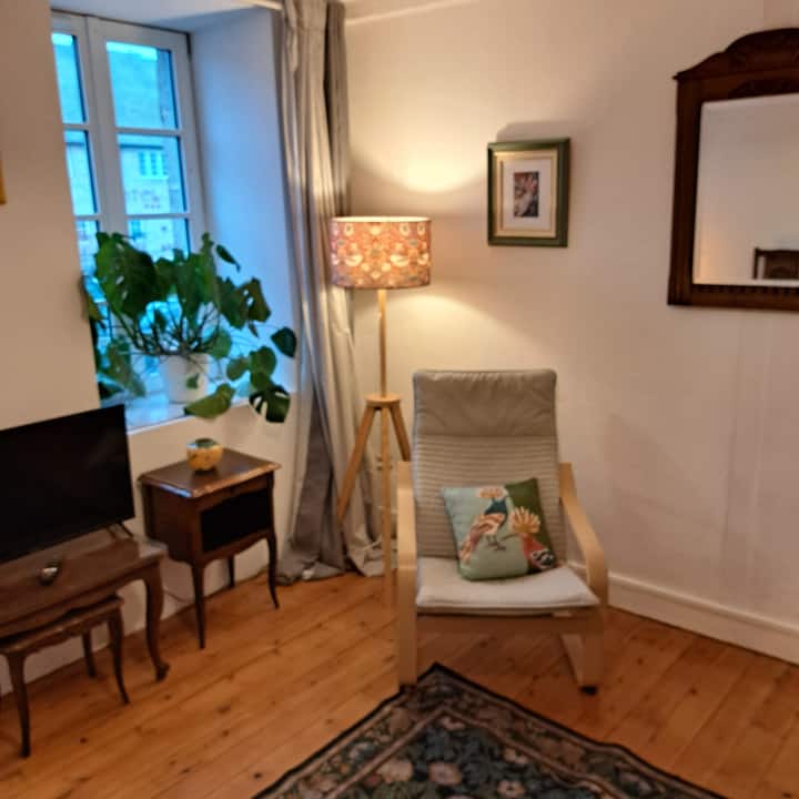 Bel Appartement Au Centre - Huelgoat