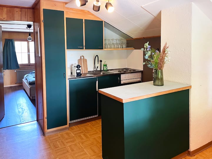 Ferienwohnung Dachnest - Sedrun