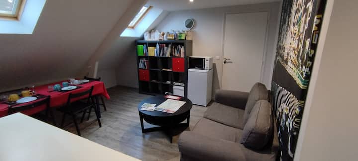 Les Nichoirs - Vaste Appartement - Vouvray