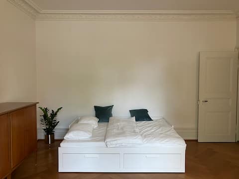 Popular Airbnb listing: Free parking & BaselCard in the old building in Basel