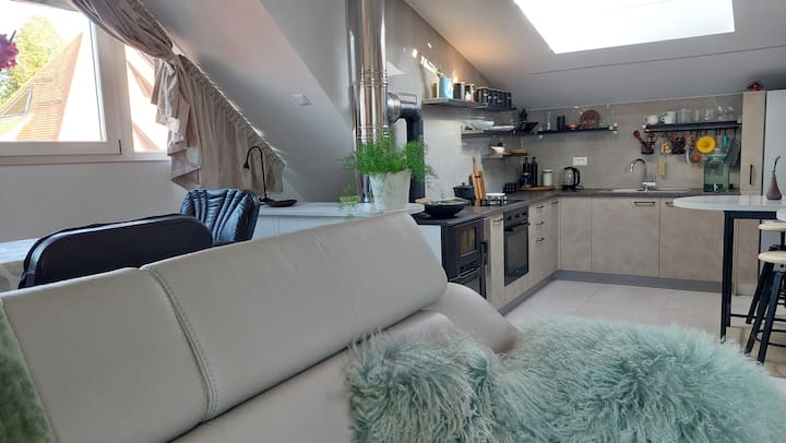 Pleasant Bright Home In The Old Town, With A View - Ljubljana