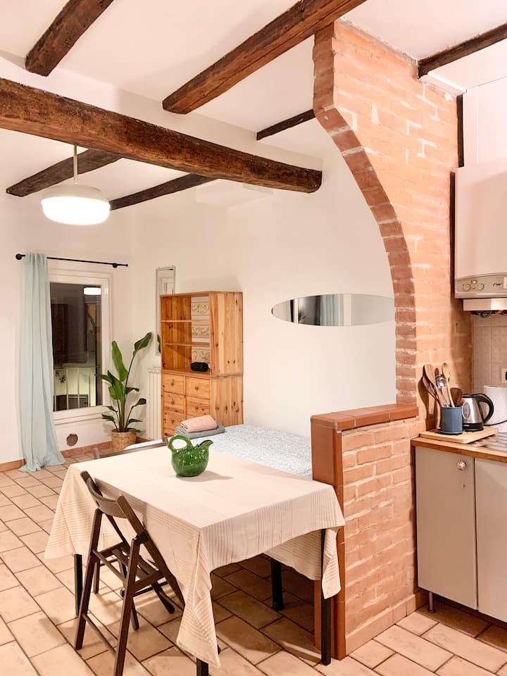 The Brick Wall - Bologna Center (Newly Renovated) - Bologna