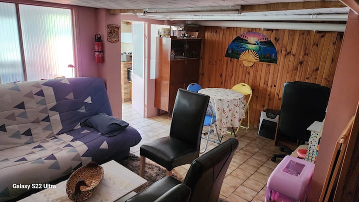 Très Grand Sous-sol Pour Un Séjour Paisible - Lille