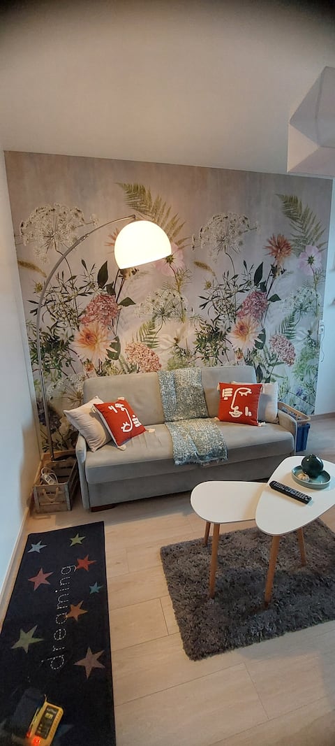 Annonce Airbnb populaire: 2-room apartment "Le sapin bleu" garden view à Vittel