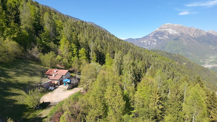 Baita Costa Di Gial - Passo Brocon