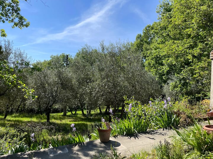 Appartamento Con Piscina - Pontassieve