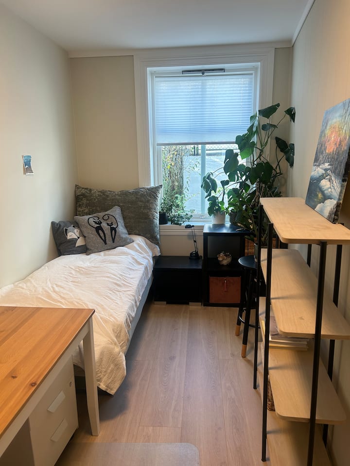 Საძინებელი სამუშაო სივრცით. 