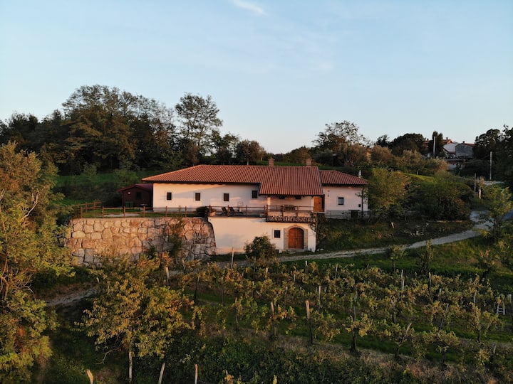 Karol-ina Estate - Slap