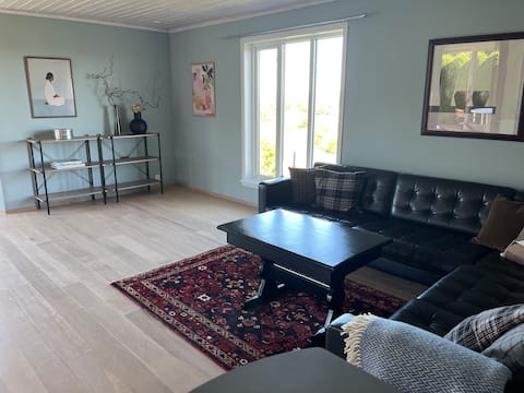 Top performing Airbnb: Villa Horten in Horten