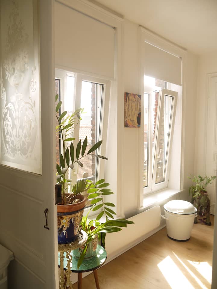 Petit Appartement De 21 M2 - Lille