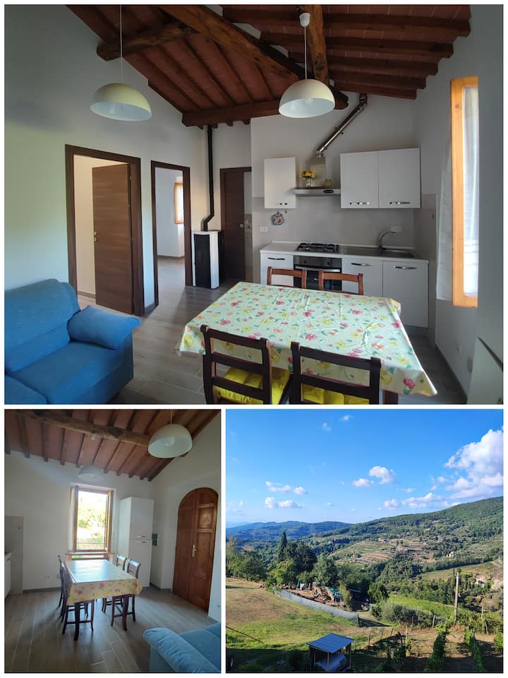 Casa Lamole (Greve In Chianti) - Greve in Chianti