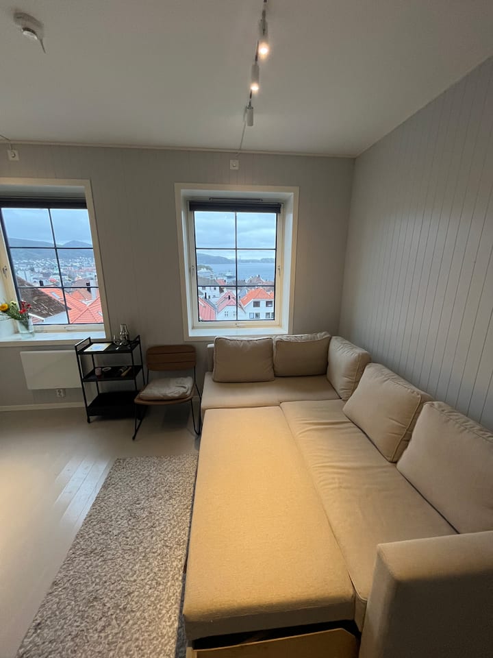 Fin Og Sentral Leilighet I Sandviken Med Sjøutsikt - Bergen