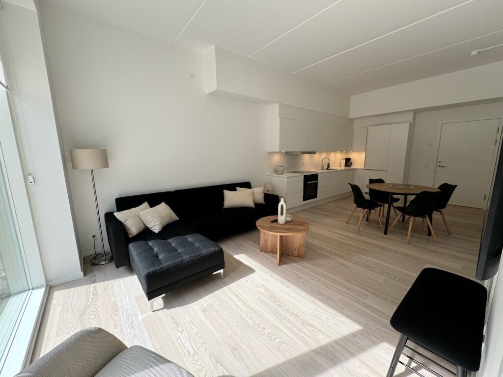 Curated visual reference: Gallery Detail: New 2 Bedroom Apartment Apartments For Rent In Copenhagen Denmark