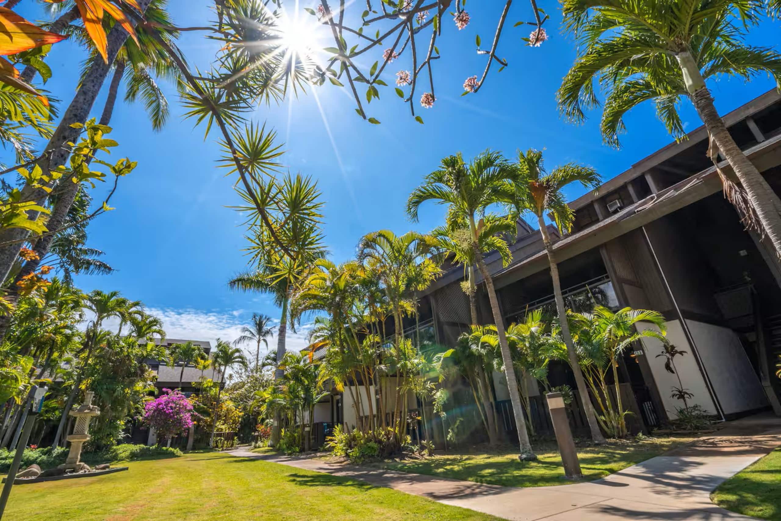 Condo in Kihei · ★4.85 · 1 bedroom · 3 beds · 1 bath - Image 27