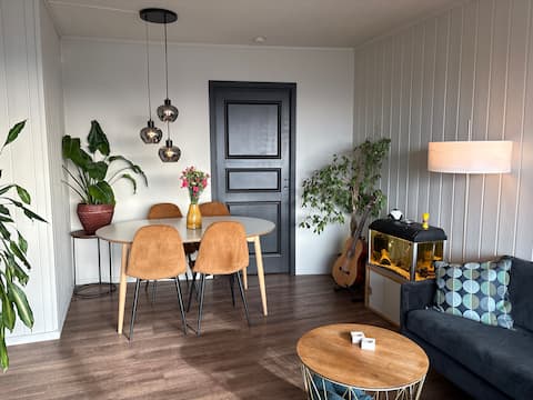 Successful Airbnb property: Apartment with a view and a friendly cat in Bjerke
