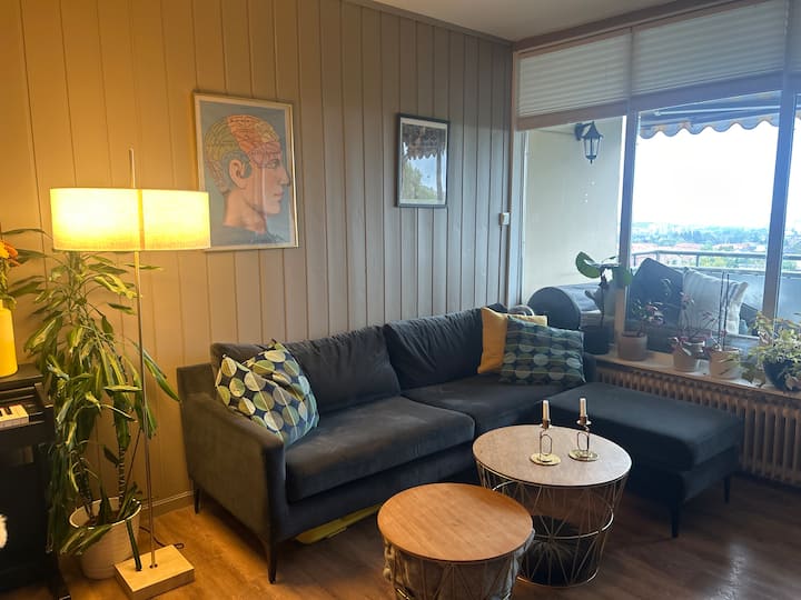 Área de convivencia