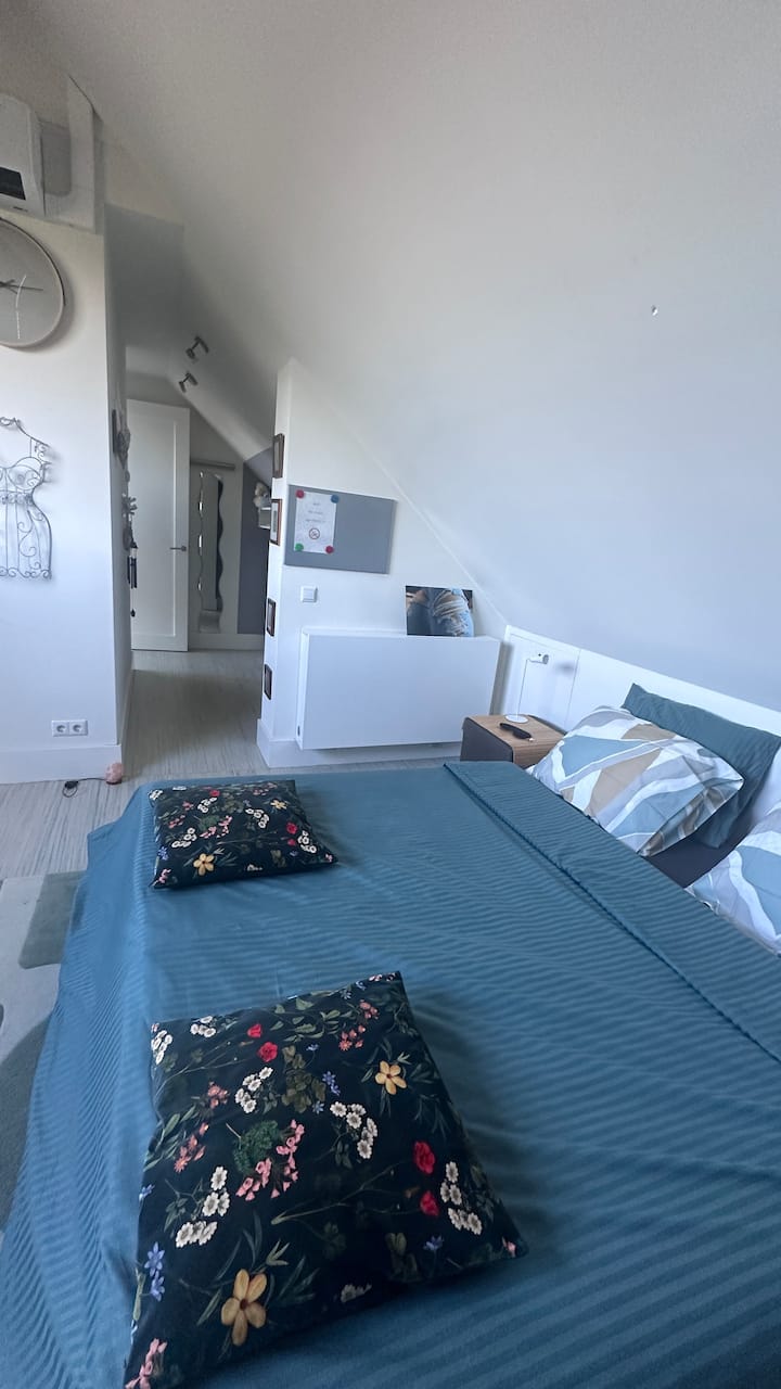Appartement 2e Verdieping Met Dakterras Op Zuiden - Hengelo
