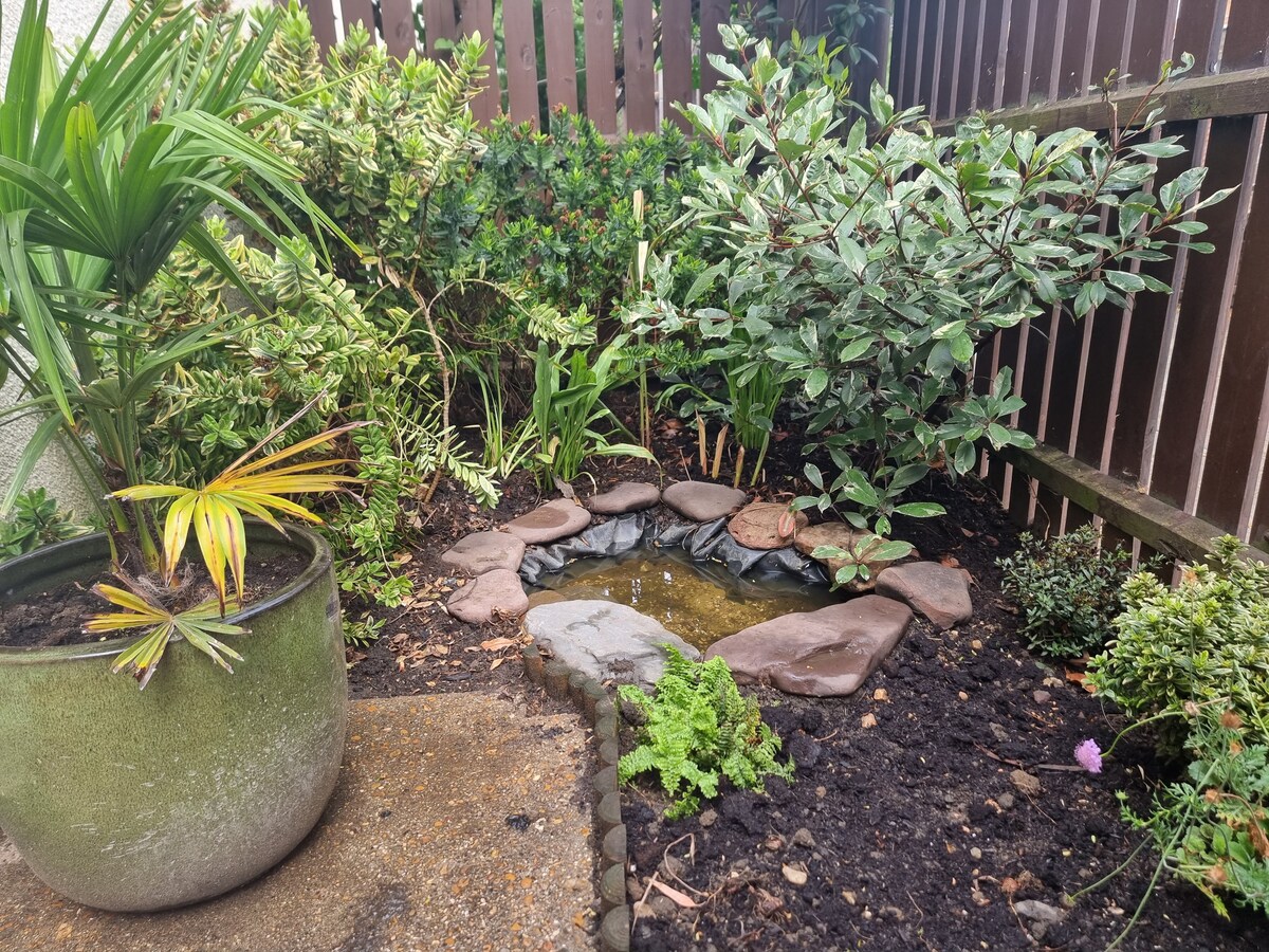 Immagine 5 della stanza