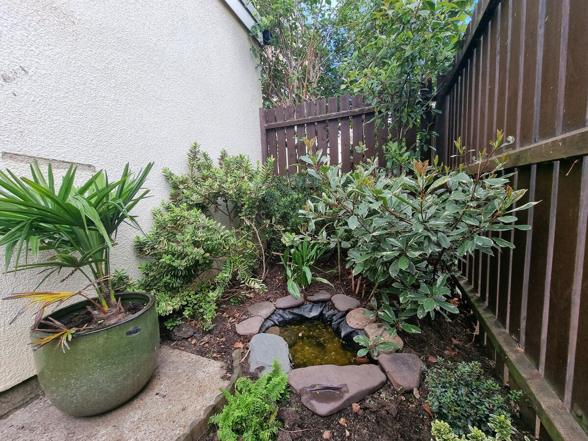 Immagine 23 della stanza